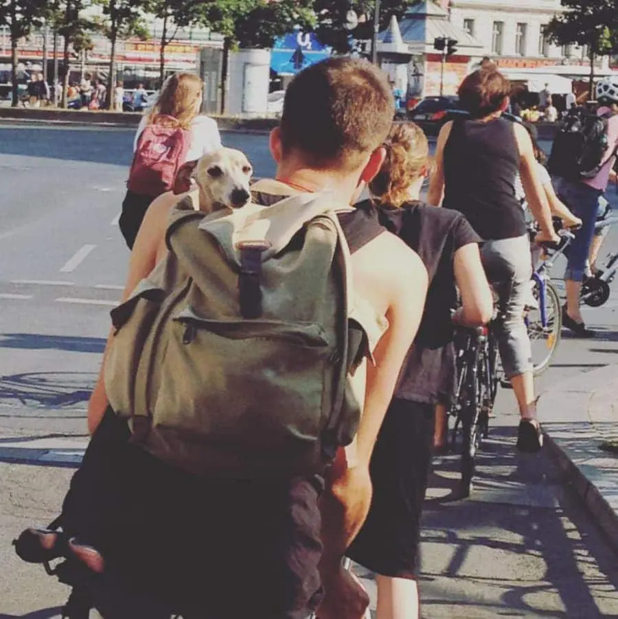 Checkpoint BLN Queer sexual health center in Berlin